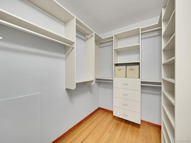 walk in closet with light wood-style floors