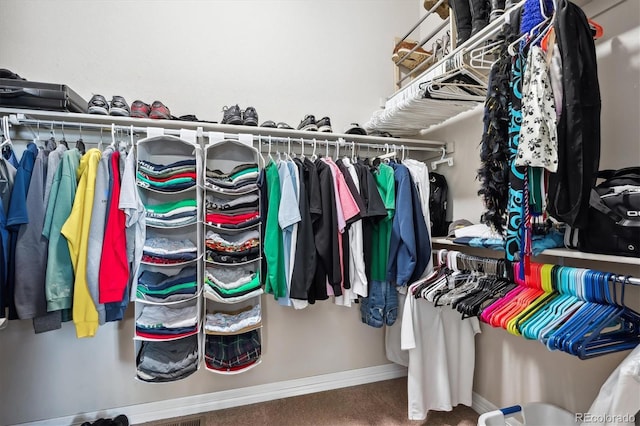 spacious closet with carpet flooring