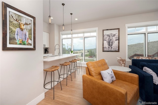 living room featuring a wealth of natural light, sink, and light hardwood / wood-style floors