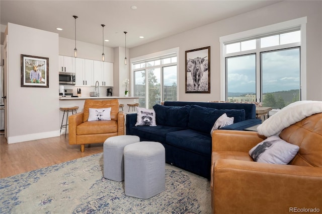 living room with light wood-type flooring