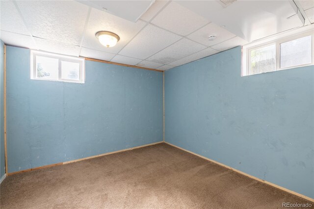 7431 Webster St, Arvada, CO 80003 - basement featuring carpet flooring, healthy amount of natural light, a drop ceiling, and baseboards