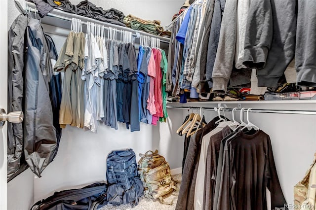 view of spacious closet