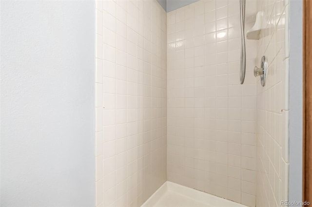 4207 S Granby Ct Unit A, Aurora, CO 80014 - bathroom with tiled shower