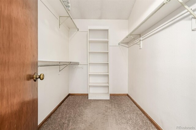 4207 S Granby Ct Unit A, Aurora, CO 80014 - walk in closet with carpet flooring
