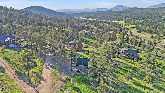 70 Deer Trail Dr, Bailey, CO 80421 - photo 2