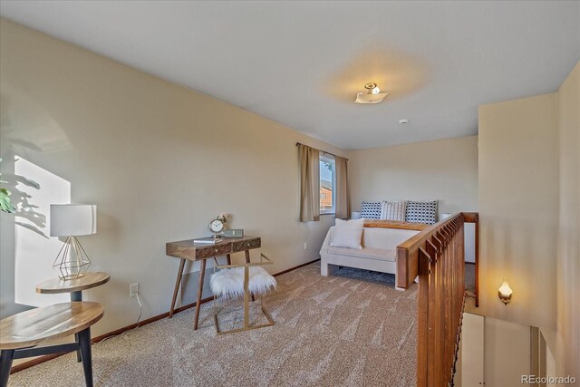 70 Deer Trail Dr, Bailey, CO 80421 - photo 11