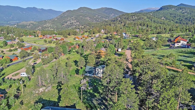 70 Deer Trail Dr, Bailey, CO 80421 - photo 14