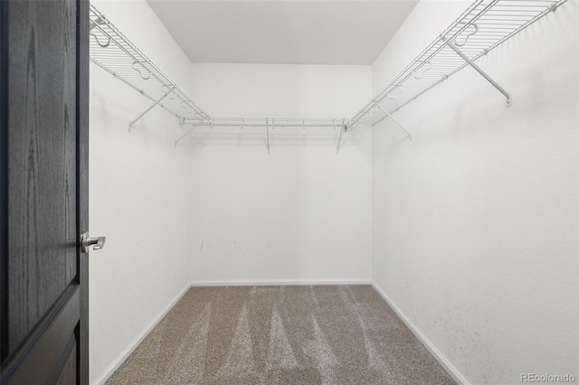 10978 Ashurst Ln, Highlands Ranch, CO 80130 - spacious closet featuring carpet