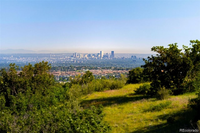 10978 Ashurst Ln, Highlands Ranch, CO 80130 - view of city