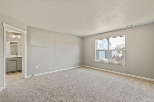14249 Beebalm Ave, Parker, CO 80134 - spare room with light carpet, baseboards, a textured ceiling, and a sink