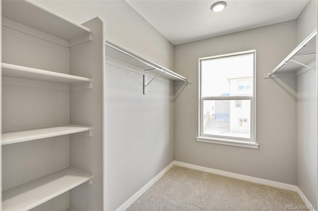 14249 Beebalm Ave, Parker, CO 80134 - walk in closet featuring carpet floors