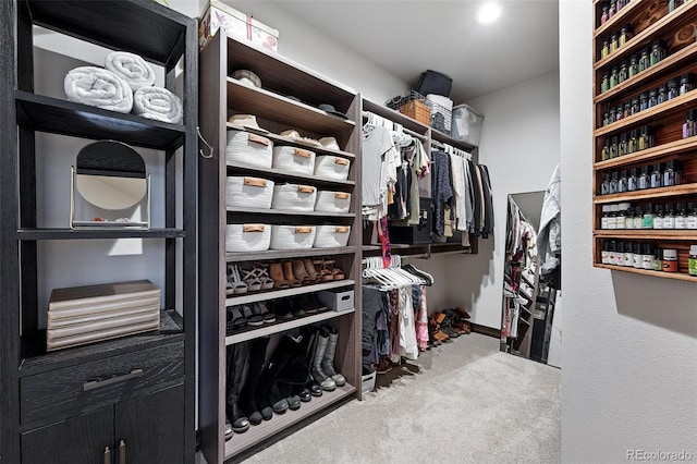 2548 Keystone Dr, Evergreen, CO 80439 - spacious closet with carpet