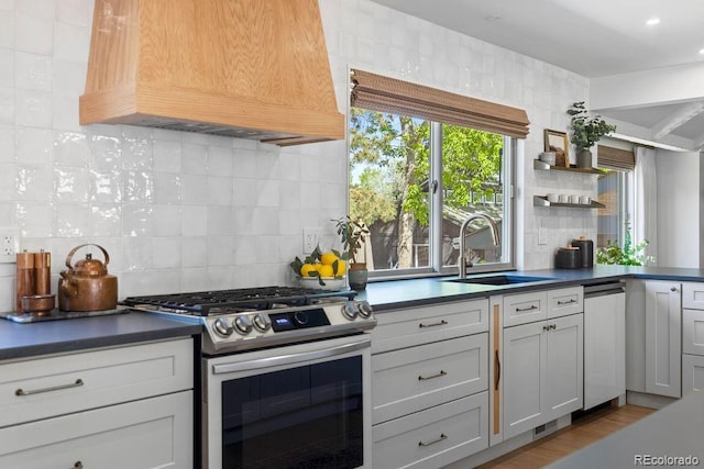 7633 S Gilpin Ct, Centennial, CO 80122 - kitchen with appliances with stainless steel finishes, custom range hood, a sink, decorative backsplash, and dark countertops