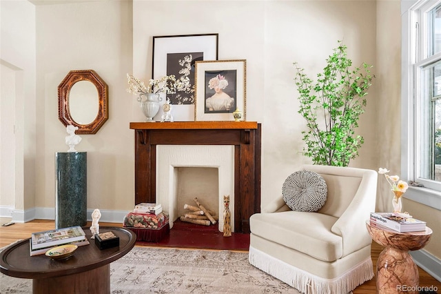 sitting room featuring light wood-type flooring