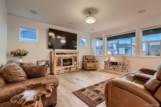 living room with wood-type flooring