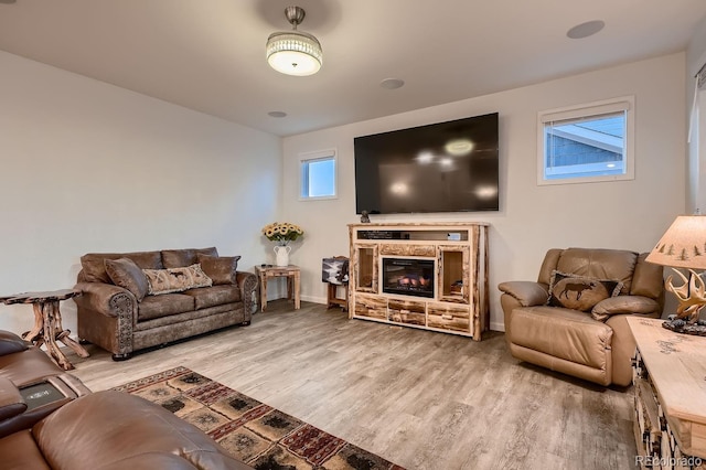 living room with wood-type flooring