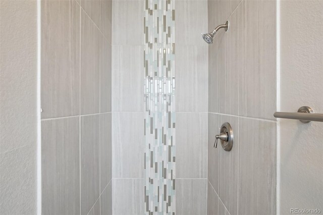 4623 S Kalispell Way, Aurora, CO 80015 - bathroom view of a tile shower