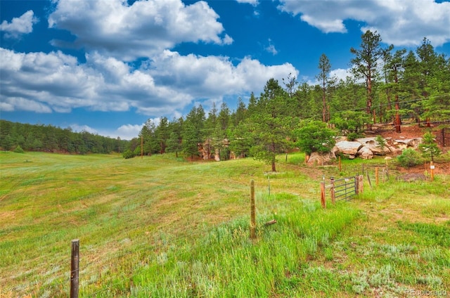 18908 County Road 31.9, Weston, CO 81091 - photo 9