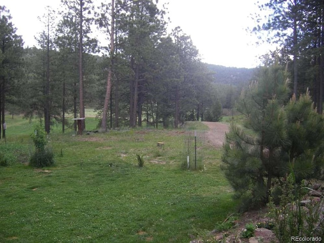 18908 County Road 31.9, Weston, CO 81091 - photo 24