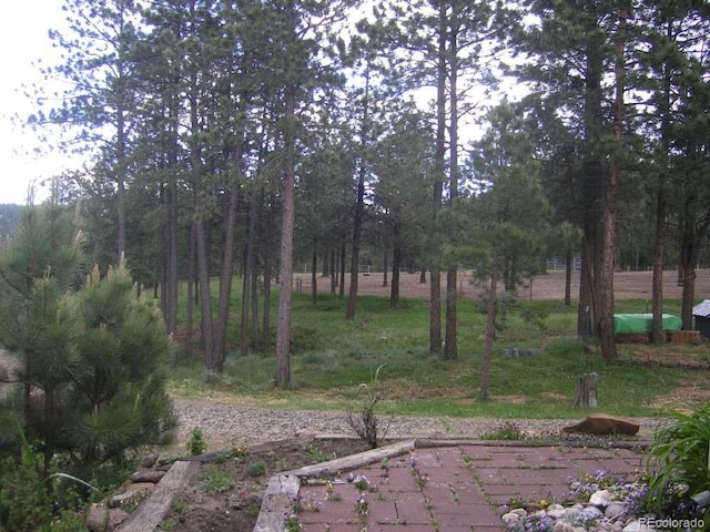 18908 County Road 31.9, Weston, CO 81091 - photo 25