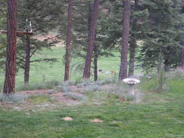 18908 County Road 31.9, Weston, CO 81091 - photo 28