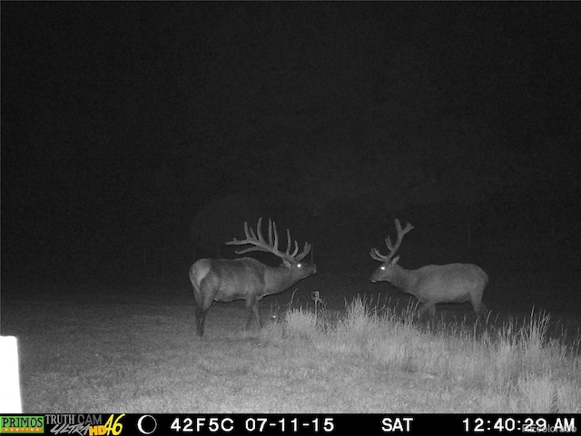 18908 County Road 31.9, Weston, CO 81091 - photo 34