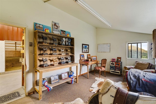 89 Aspen Leaf Ln, Bellvue, CO 80512 - living area with lofted ceiling and carpet floors
