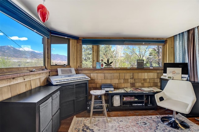 232 N 14th St, Colorado Springs, CO 80904 - office space featuring dark wood-type flooring and a mountain view