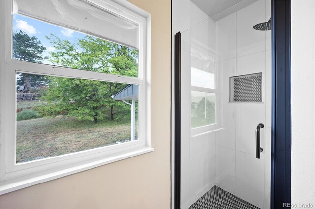 13249 W Jewell Pl, Lakewood, CO 80228 - bathroom with a shower stall