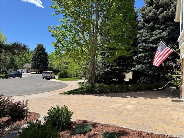 8535 E Otero Cir, Centennial, CO 80112 - view of patio / terrace