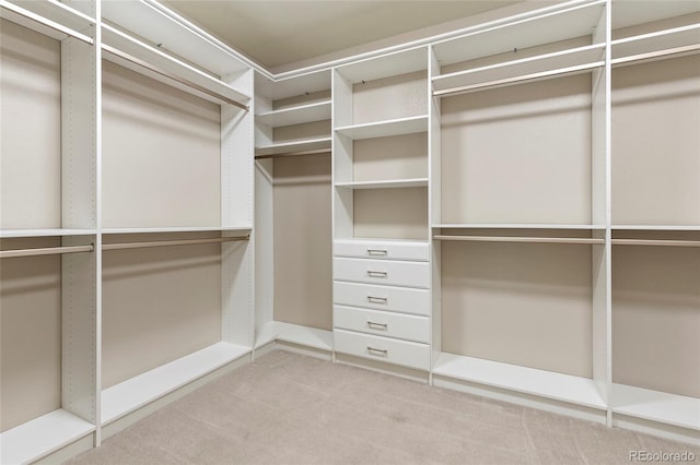 4545 Oxbow Dr, Brighton, CO 80601 - spacious closet featuring carpet flooring