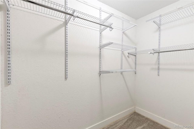 4545 Oxbow Dr, Brighton, CO 80601 - walk in closet with carpet floors
