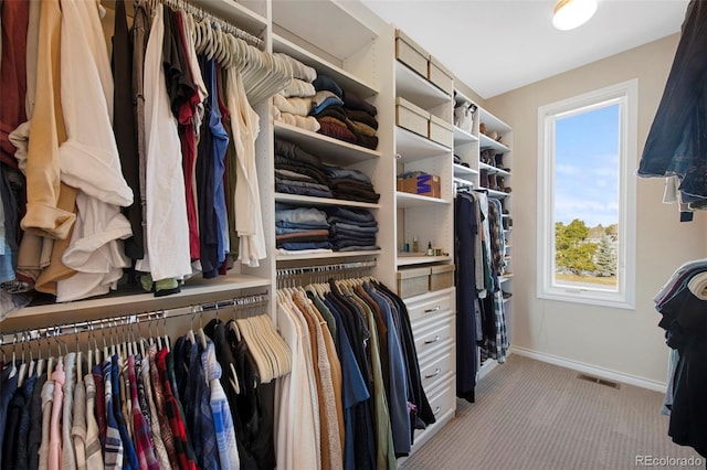 spacious closet featuring light colored carpet