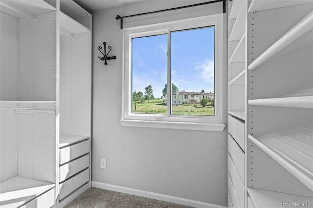 8979 Lariat Loop, Elizabeth, CO 80107 - view of walk in closet