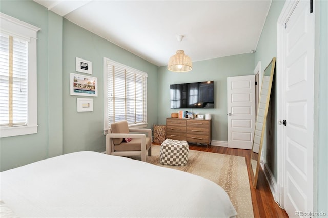 bedroom with multiple windows and wood-type flooring