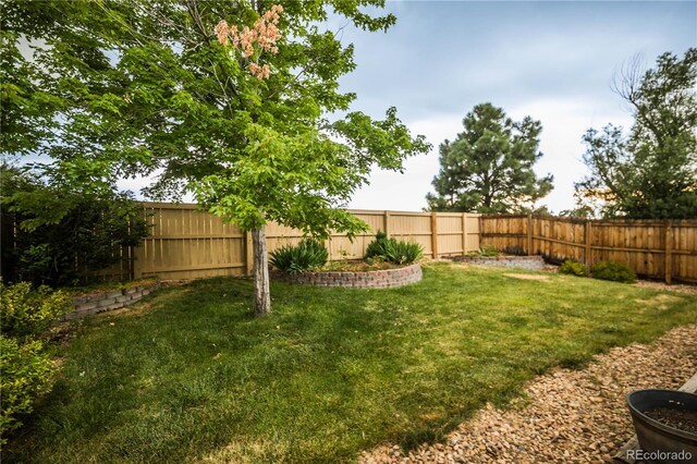20396 Willowbend Ln, Parker, CO 80138 - photo 39