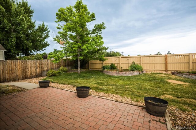 20396 Willowbend Ln, Parker, CO 80138 - photo 41