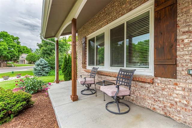 8588 S Woody Way, Highlands Ranch, CO 80126 - view of porch