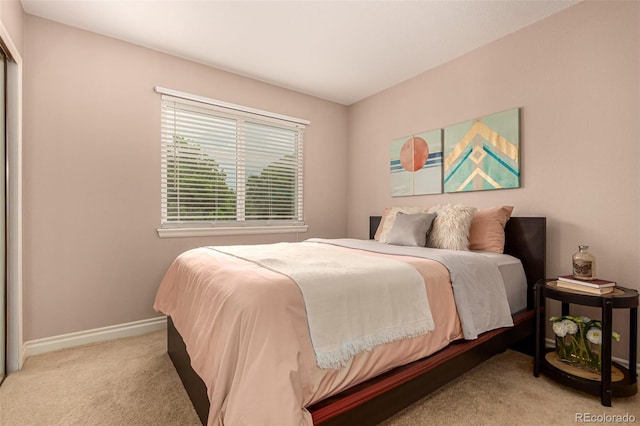 8588 S Woody Way, Highlands Ranch, CO 80126 - bedroom featuring carpet and baseboards