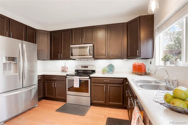 kitchen featuring stainless steel appliances, light countertops, a sink, dark brown cabinets, and light wood-type flooring