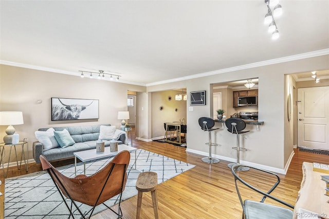 living room with crown molding, light hardwood / wood-style flooring, and track lighting