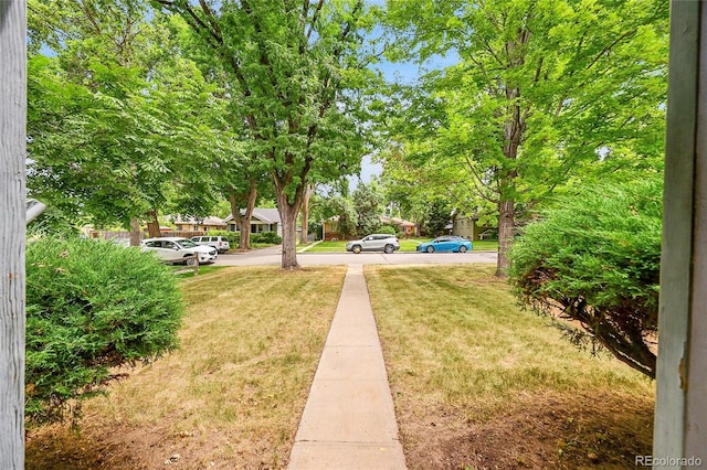 1925 S Columbine St, Denver, CO 80210 - photo 5