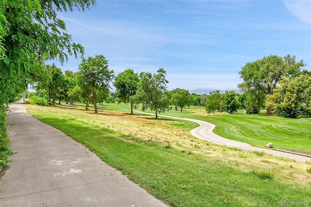 1925 S Columbine St, Denver, CO 80210 - photo 20