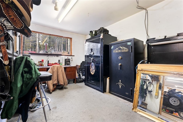 9061 N Rex Ln, Conifer, CO 80433 - misc room with carpet floors
