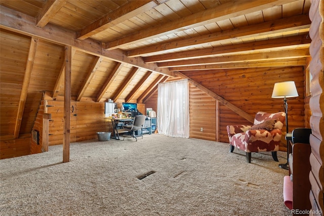 9061 N Rex Ln, Conifer, CO 80433 - interior space