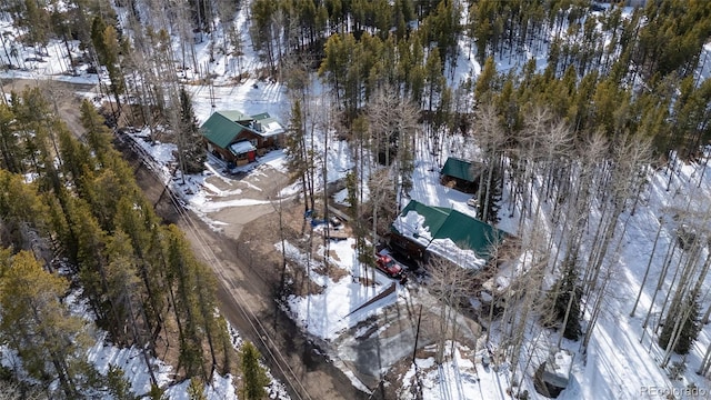9061 N Rex Ln, Conifer, CO 80433 - view of snowy aerial view