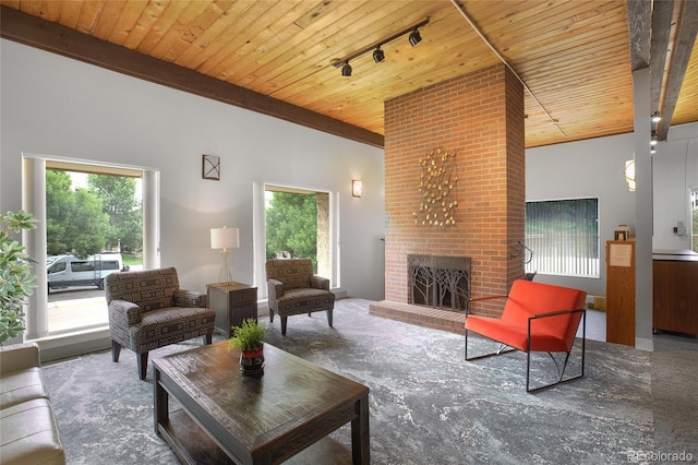 living room with rail lighting, a brick fireplace, and wooden ceiling