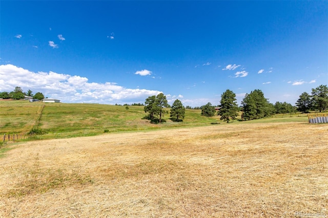 12155 Boot Hill Dr, Parker, CO 80138 - photo 11