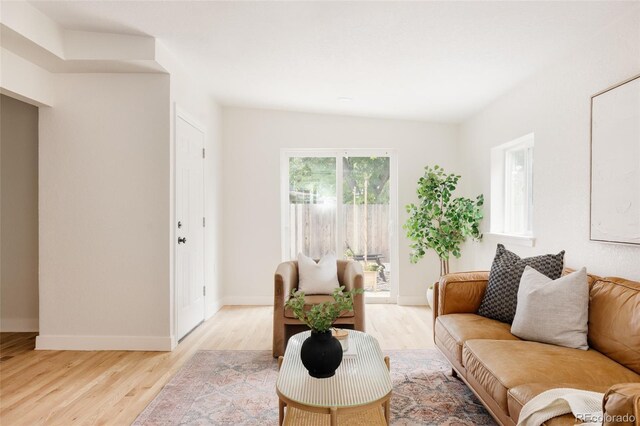 2263 Yellowstone St, Golden, CO 80401 - living area with light wood finished floors