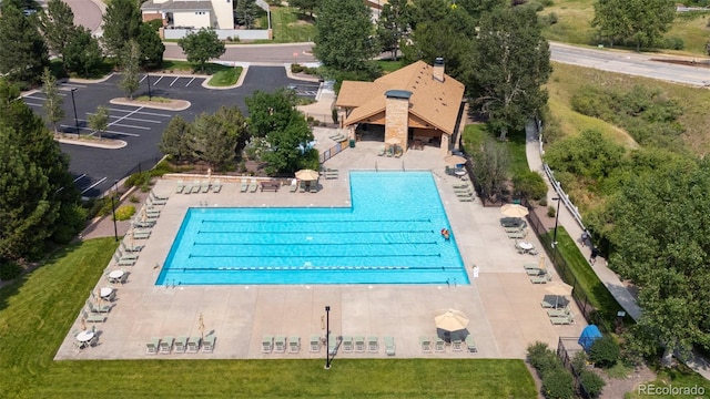 view of swimming pool